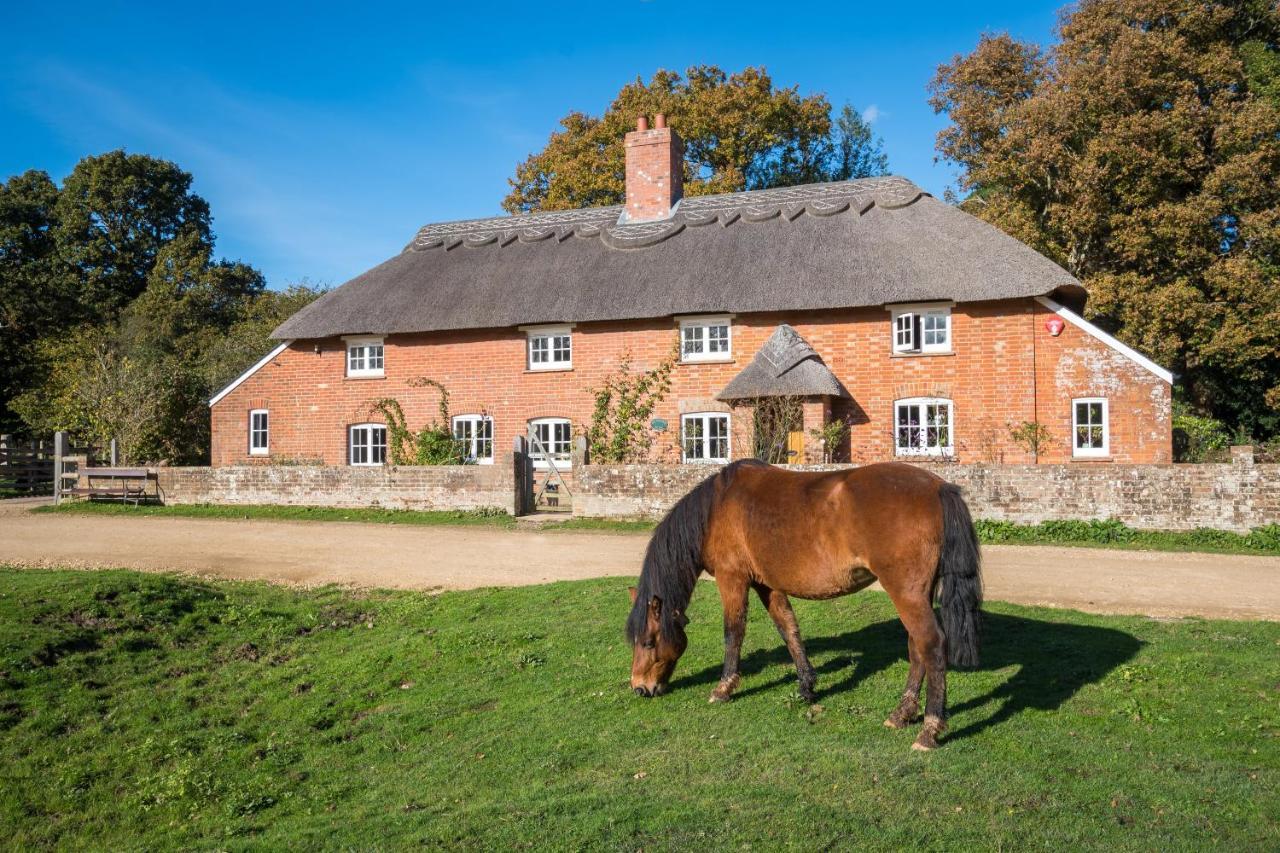 Thatched Cottage Brockenhurst Exterior photo